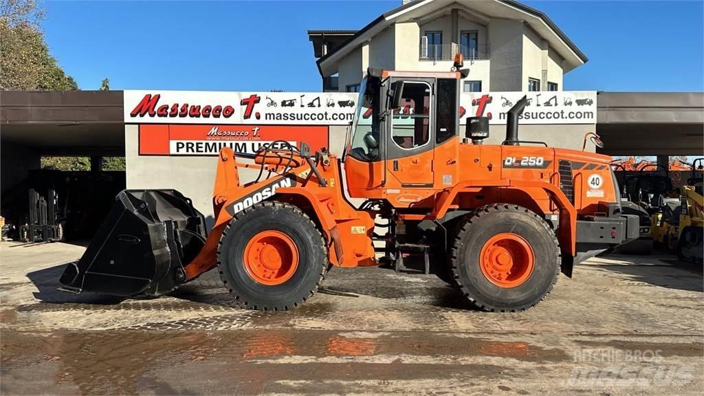 Doosan DL250  휠로우더