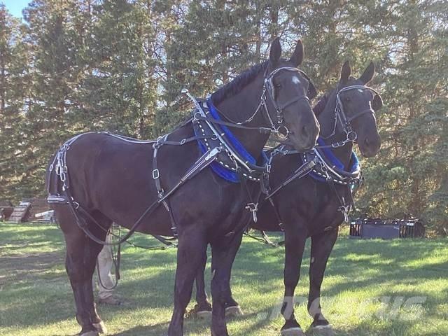  Percheron Team 건설 장비 - 기타