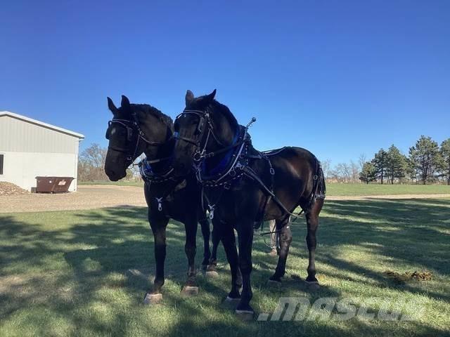  Percheron Team 건설 장비 - 기타