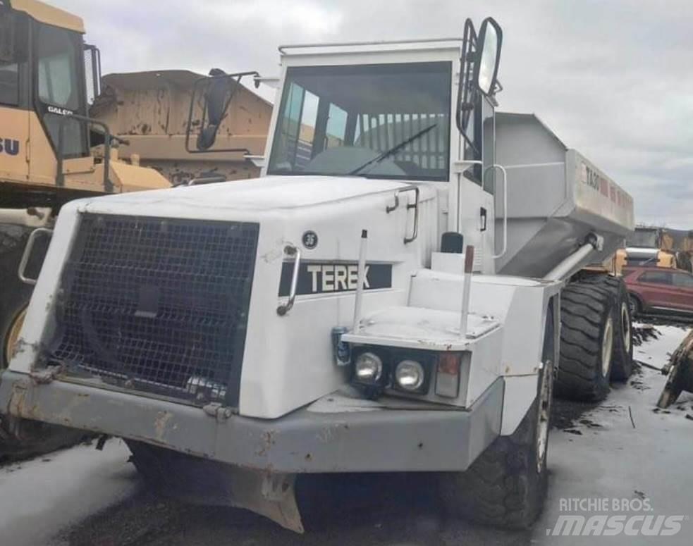Terex TA30 패널 화물차