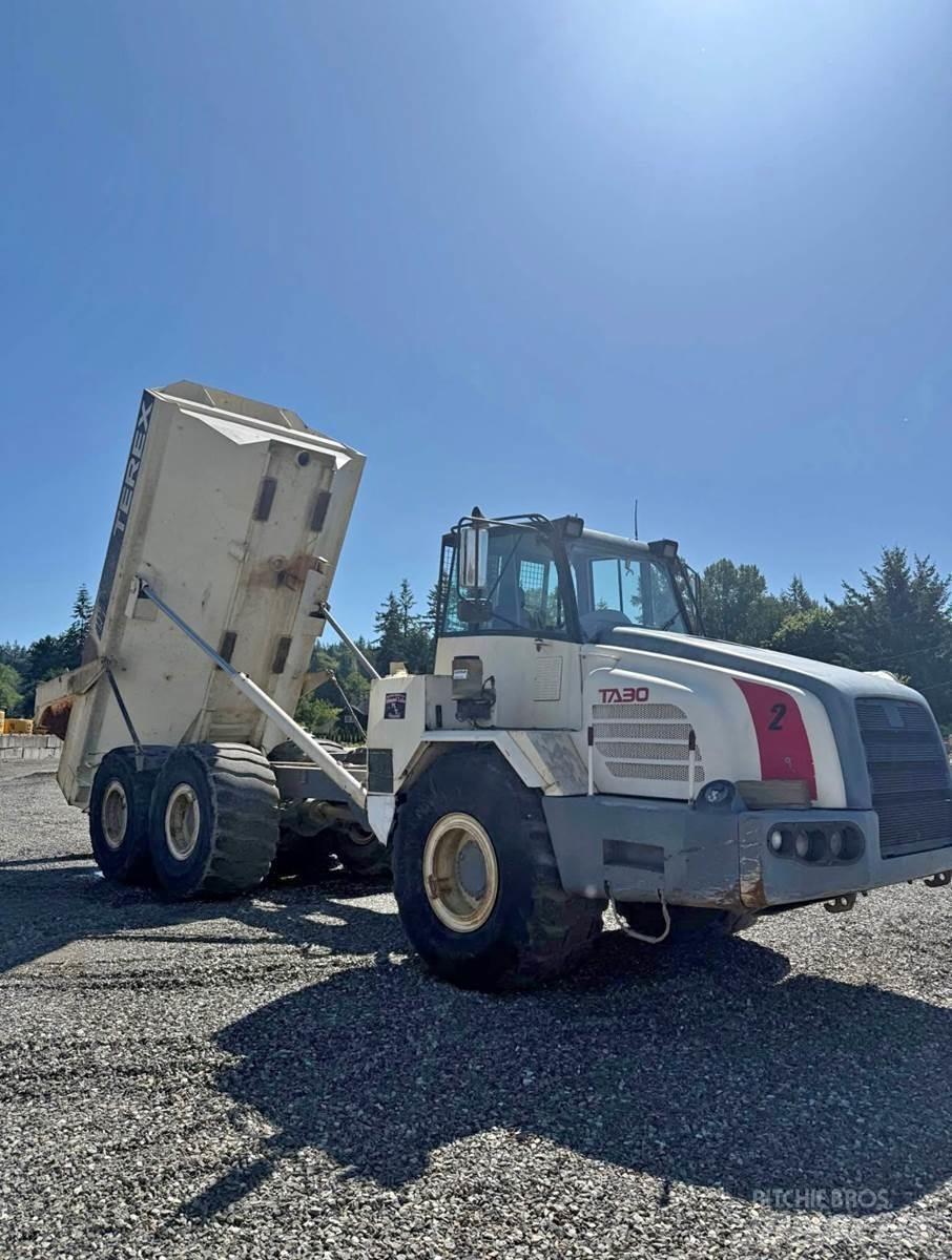 Terex TA30 패널 화물차