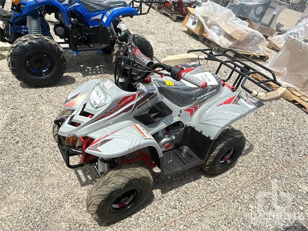  TAO B110 ATV