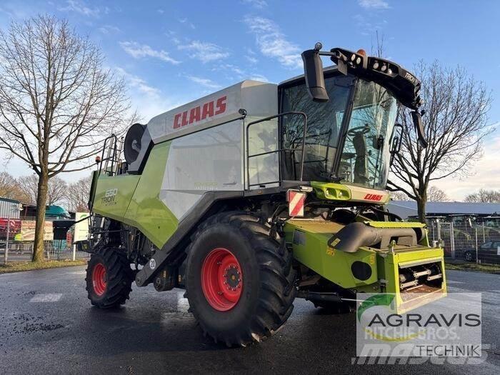 CLAAS TRION 650 콤바인 수확기