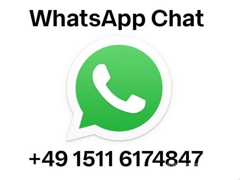 Stoll FZ 80.1 프론트 로더 및 굴착기