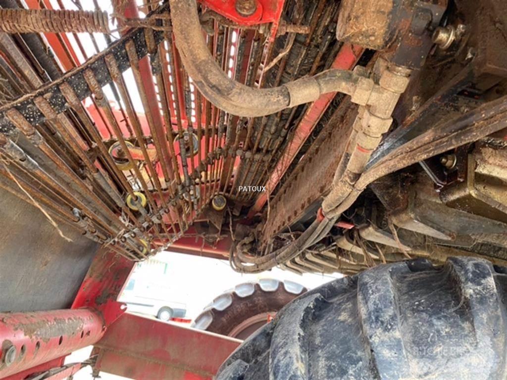 Grimme GT170 S 감자수확기 및 포테이토디거